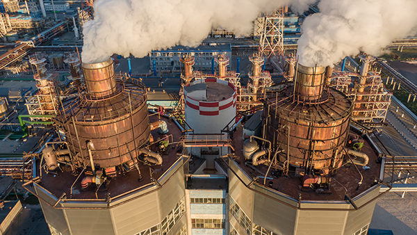 Independent Review of Risk Management Program for Proposed Plant Expansion Case Study