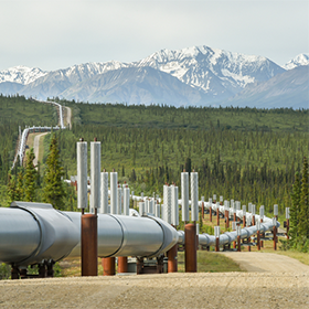 Using Risk Assessment for Investment Decision-Making White Paper